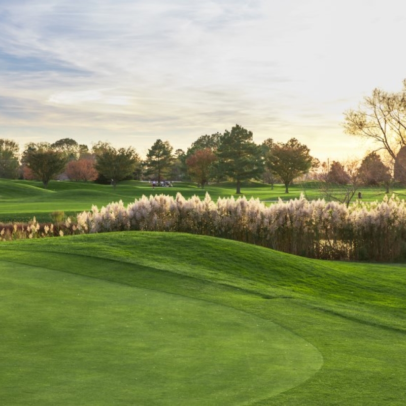 The Golf Proshop